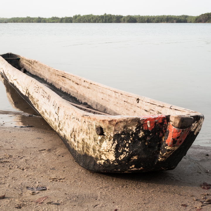 Benin canoes.