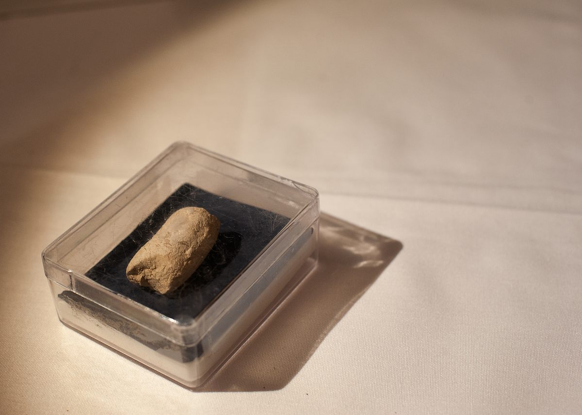 Peggy Feitell had high hopes for this mystery item—but Mehling thinks it's literal crap.
