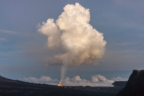 The island's routine lava flows give researchers a number of ecological timestamps.