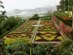Madeira Botanical Garden.