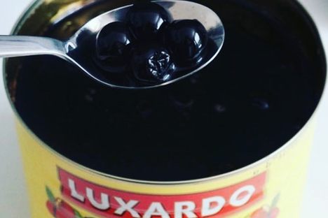 Luxardo Maraschino Cherries