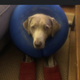 zachzaba profile photo