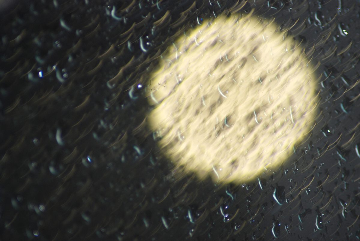 Dorothy Thompson's photograph of the moon during a rainstorm, as seen through a window in Richland Center, Wisconsin.
