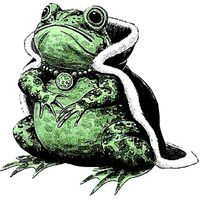Profile image for sheilafrog