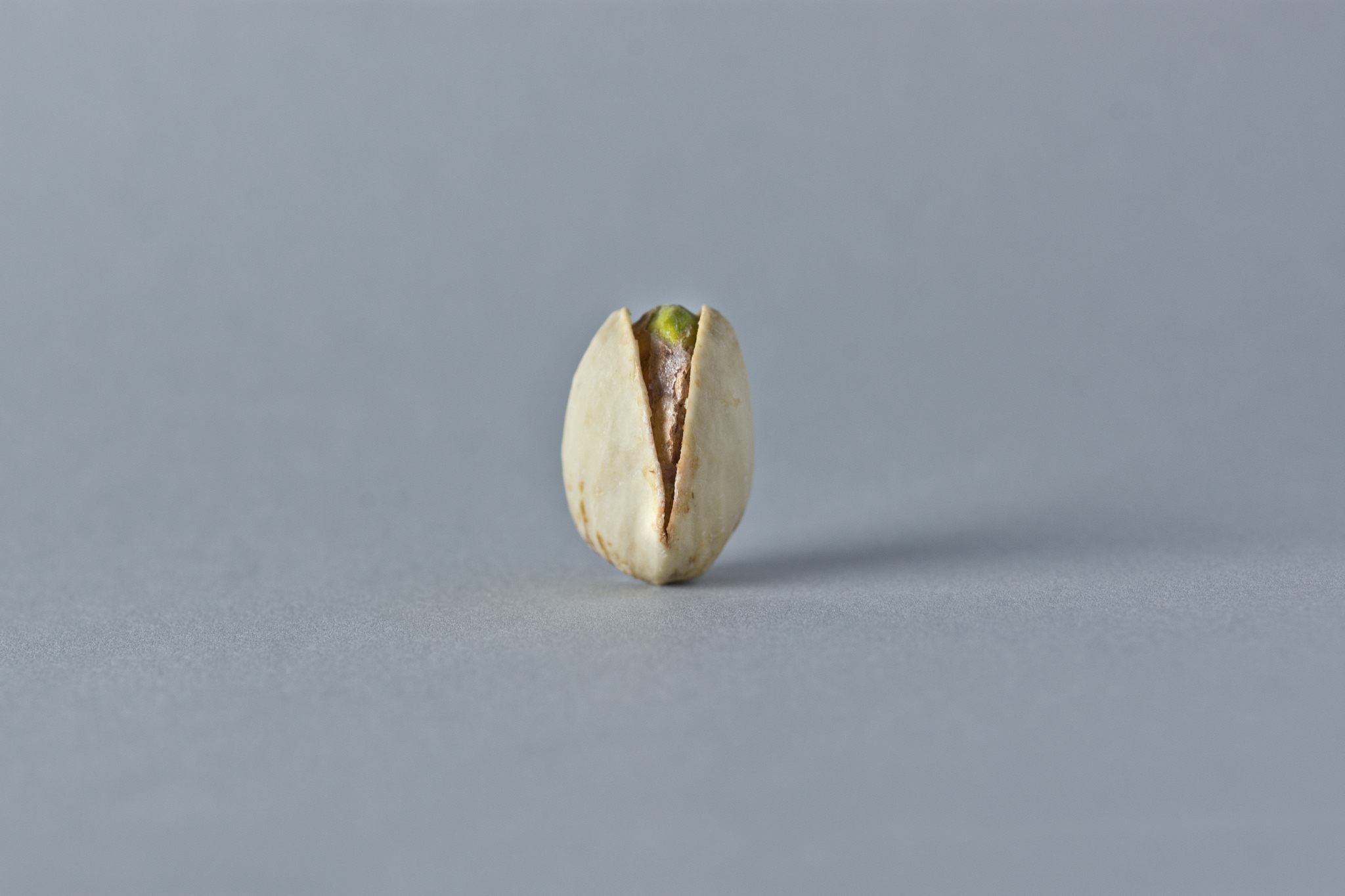 A single pistachio.