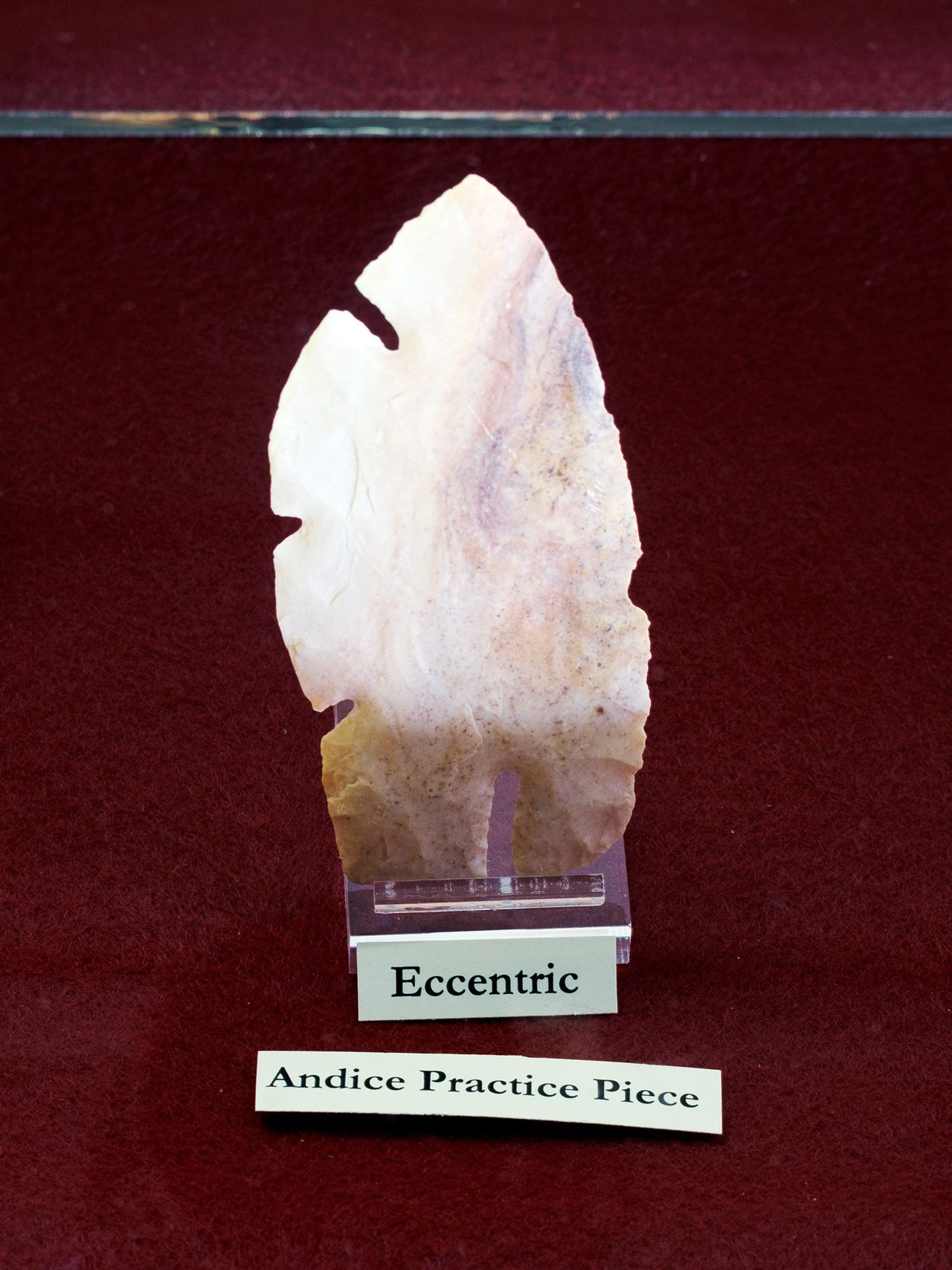 Artifacts recently unearthed in Florence, TX offer new insights into Paleoindian history. 