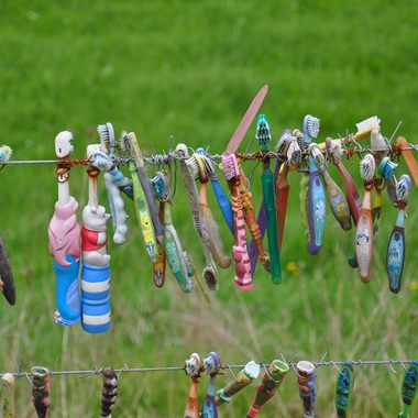 The toothbrush fence.