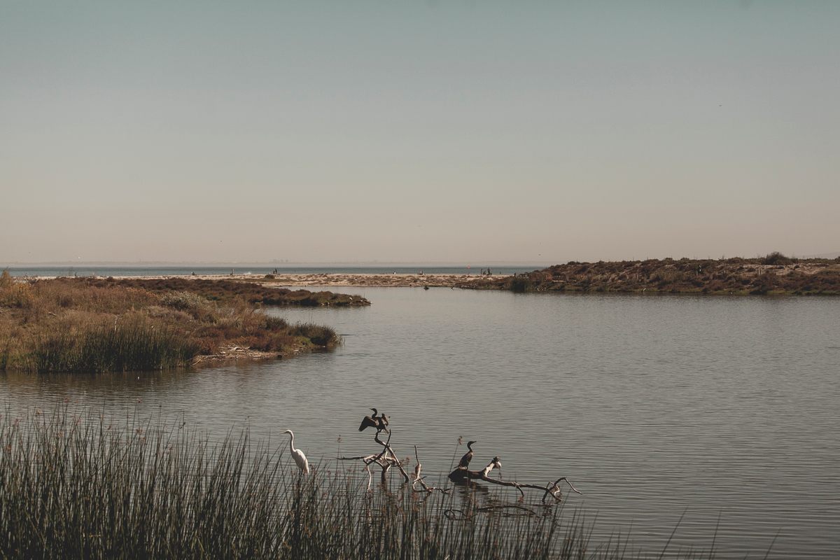 The nature area at Malibu Lagoon State Beach.