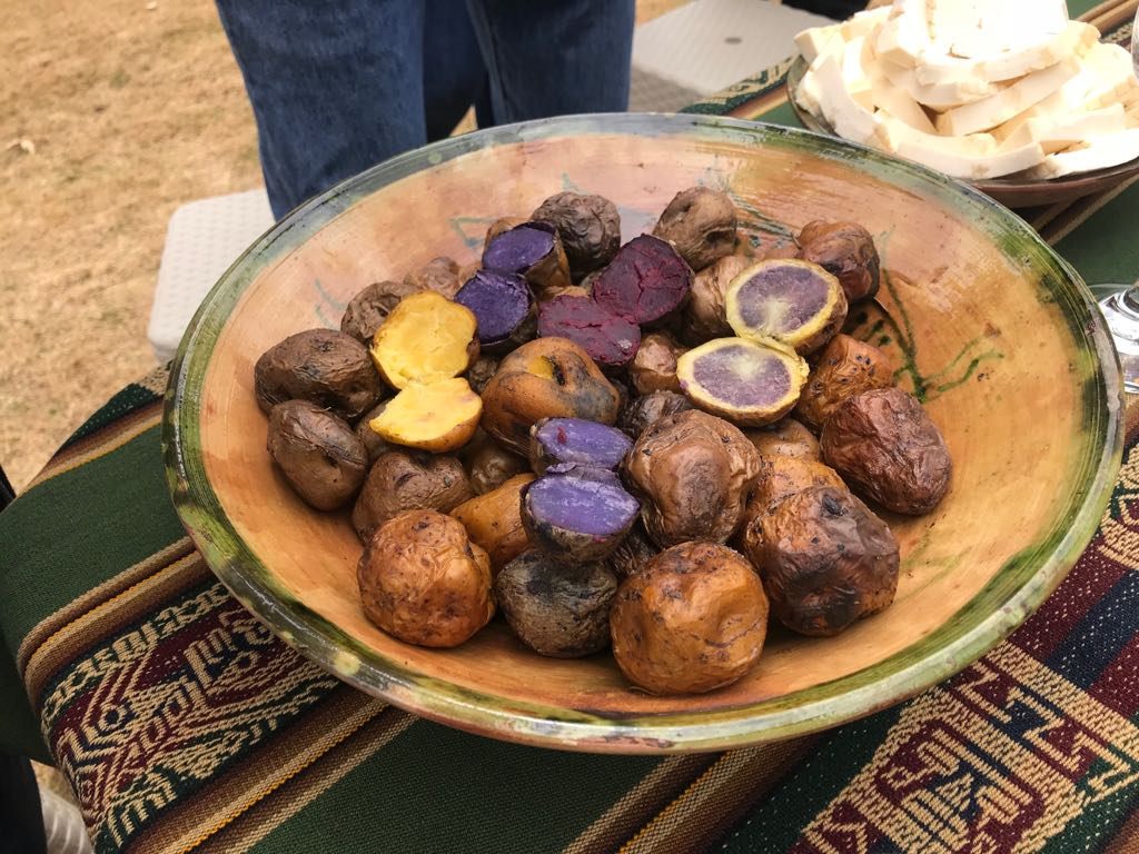 These colorful tubers fit into a millennia-long history of potato-improvement plans.