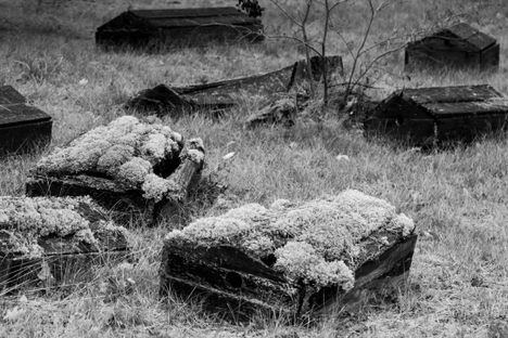 Spirit Houses ~ Ellements Photography