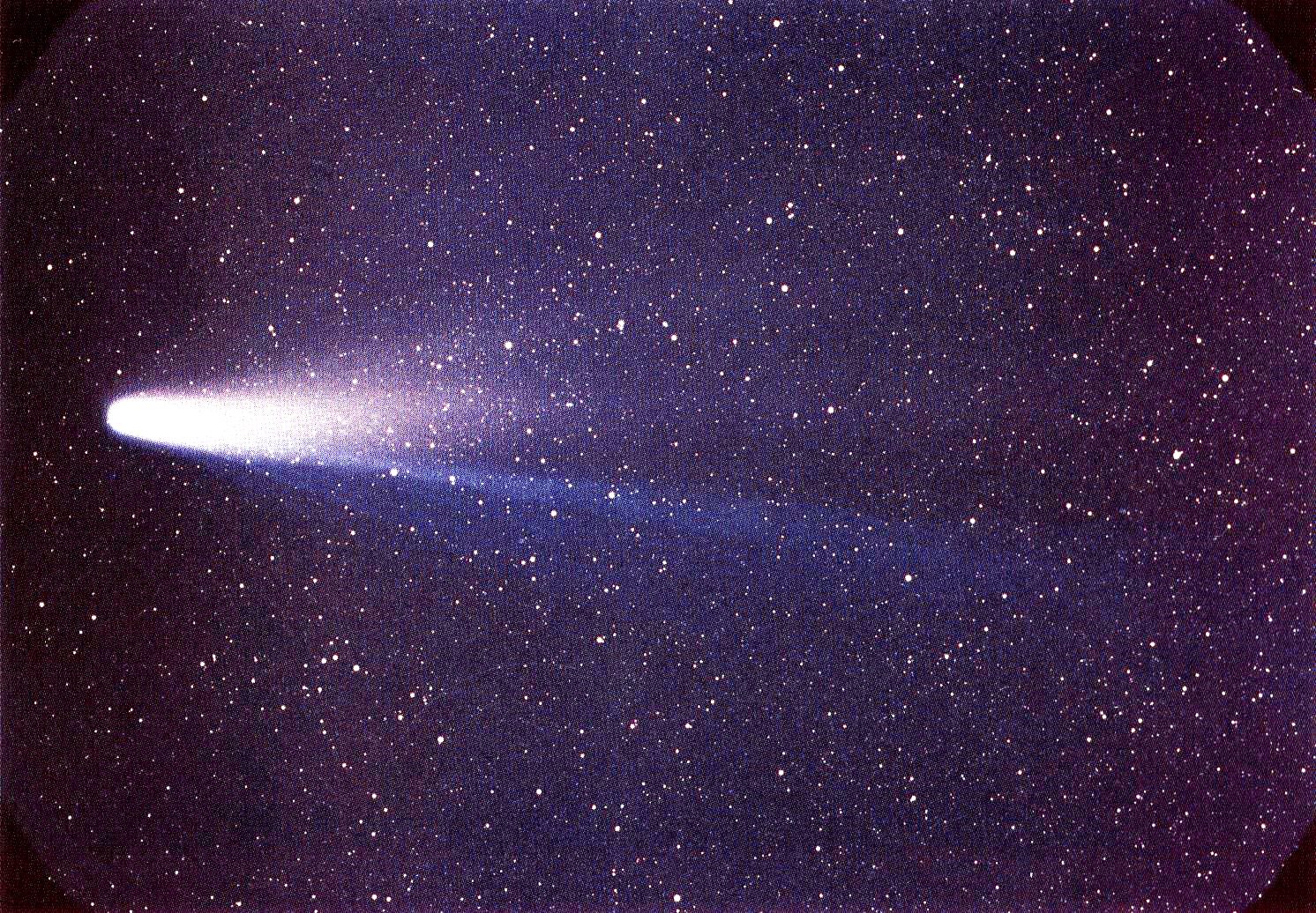 When the comet streaked by in 1986, one poultry company saw a prime publicity opportunity.