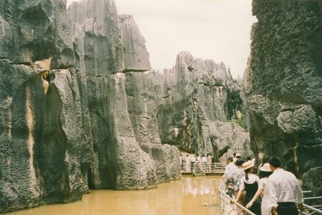 Curious Fact of the Week: Stone Forest Torch Festival