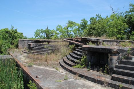 Nature reclaiming the fort.