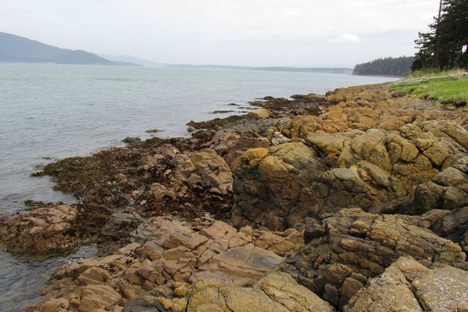 Serpentine rocks at Green Point