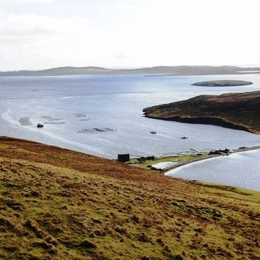 Shetland's major industry of fish farming is present near the ayres.