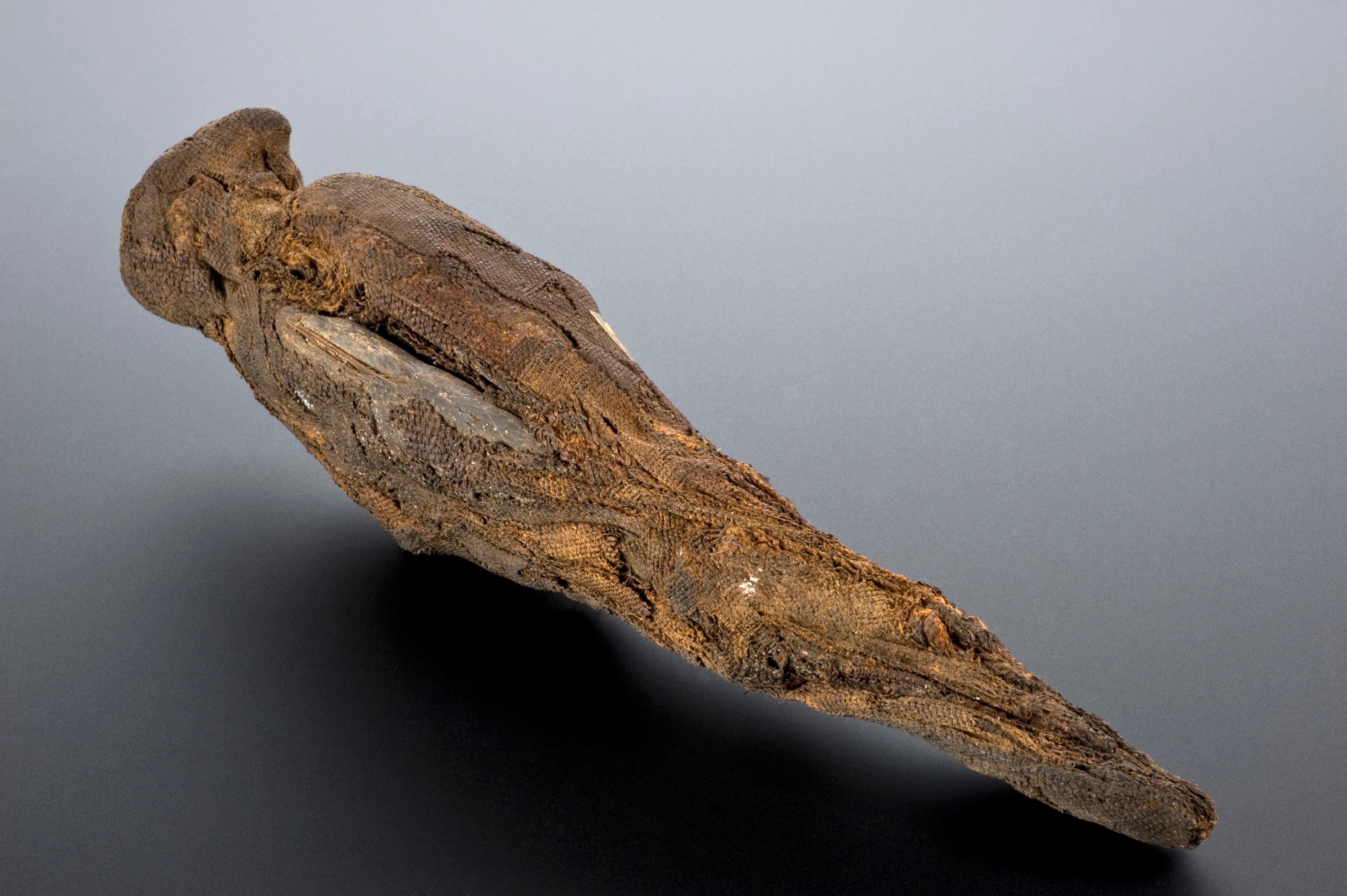 Falcons were associated with the sky god, Horus. This mummified peregrine was likely made between 2000 and 1000 BC, and is in the collection of the Science Museum, London.