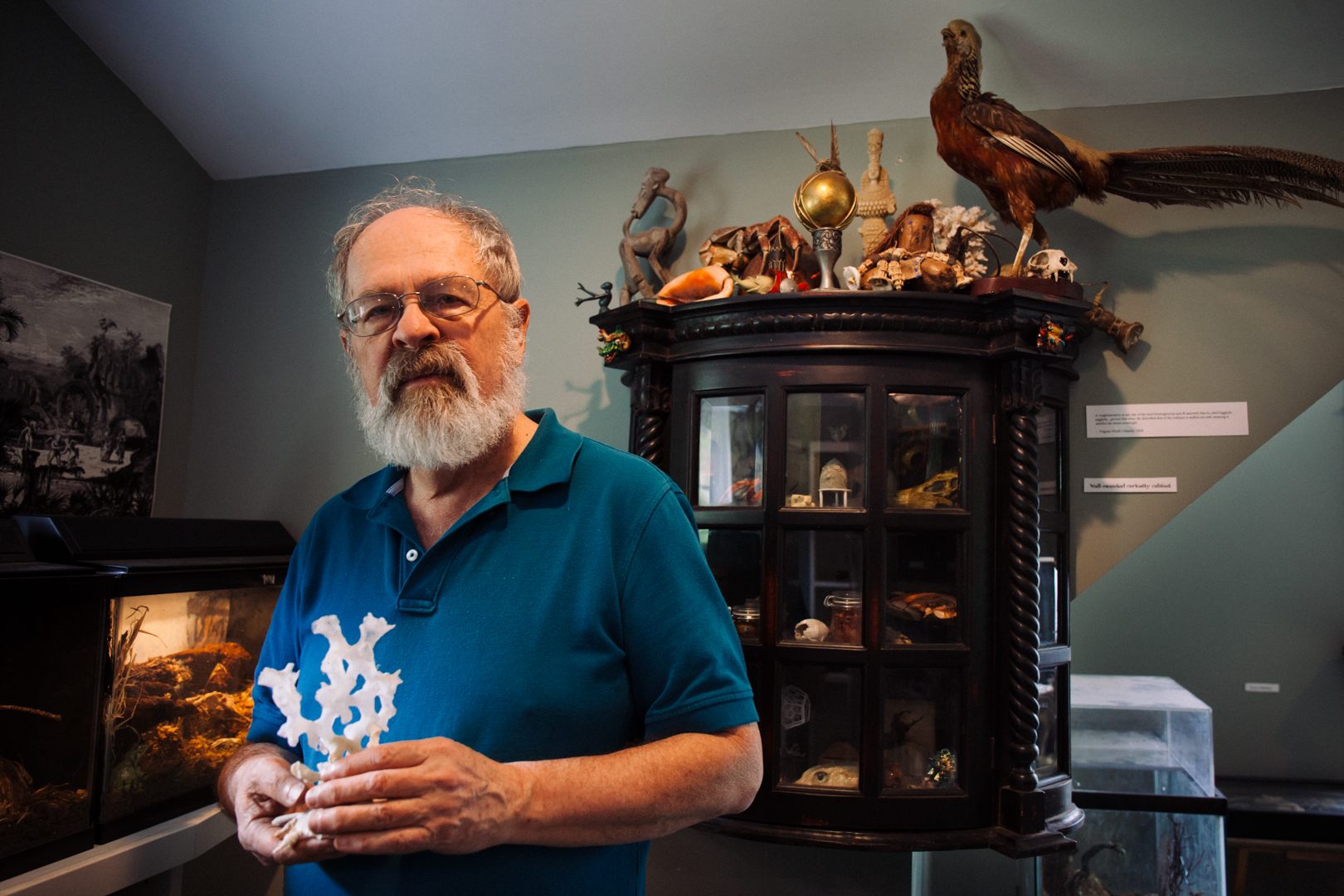 Jim Stewart in the Zymoglyphic Museum, holding one of his favorite Xenophora shells.