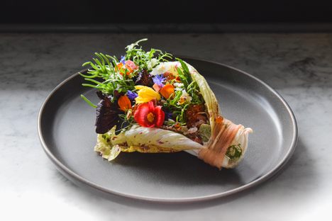 Globetrotting Through Denver: A Culinary Guide to International Flavors