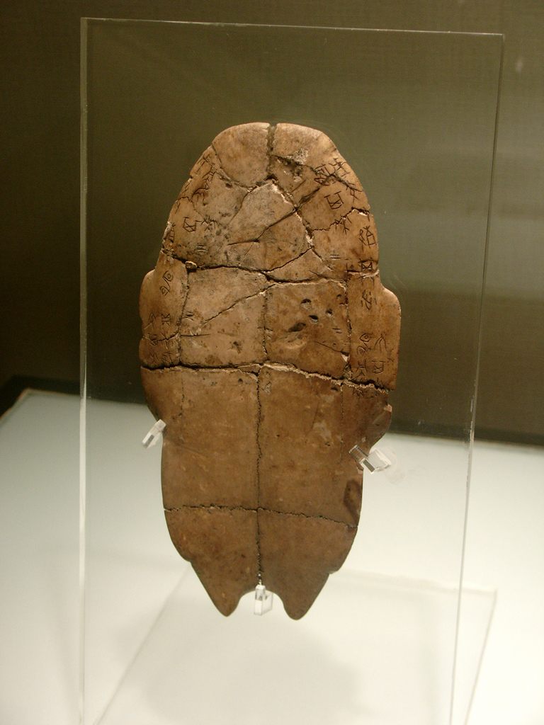 Shang Dynasty Ceremonial Turtle Bone