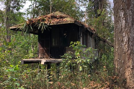 Ruins of the Temple Tiger Resort