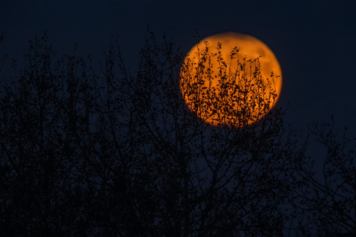 Night time is the right time for pranks and, in some cases, curfews.
