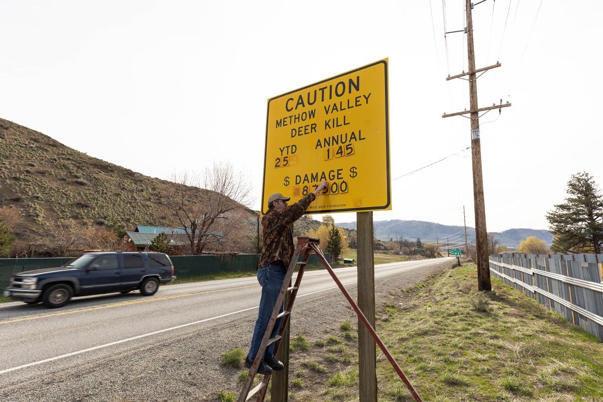 Jim Mountjoy, a volunteer for the Mule Deer Foundation, changes the numbers on a deer strike warning sign located on Highway 20.