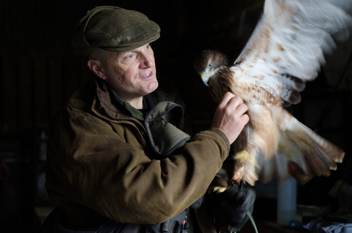 Martin Whitley, owner of Dartmoor Hawking.