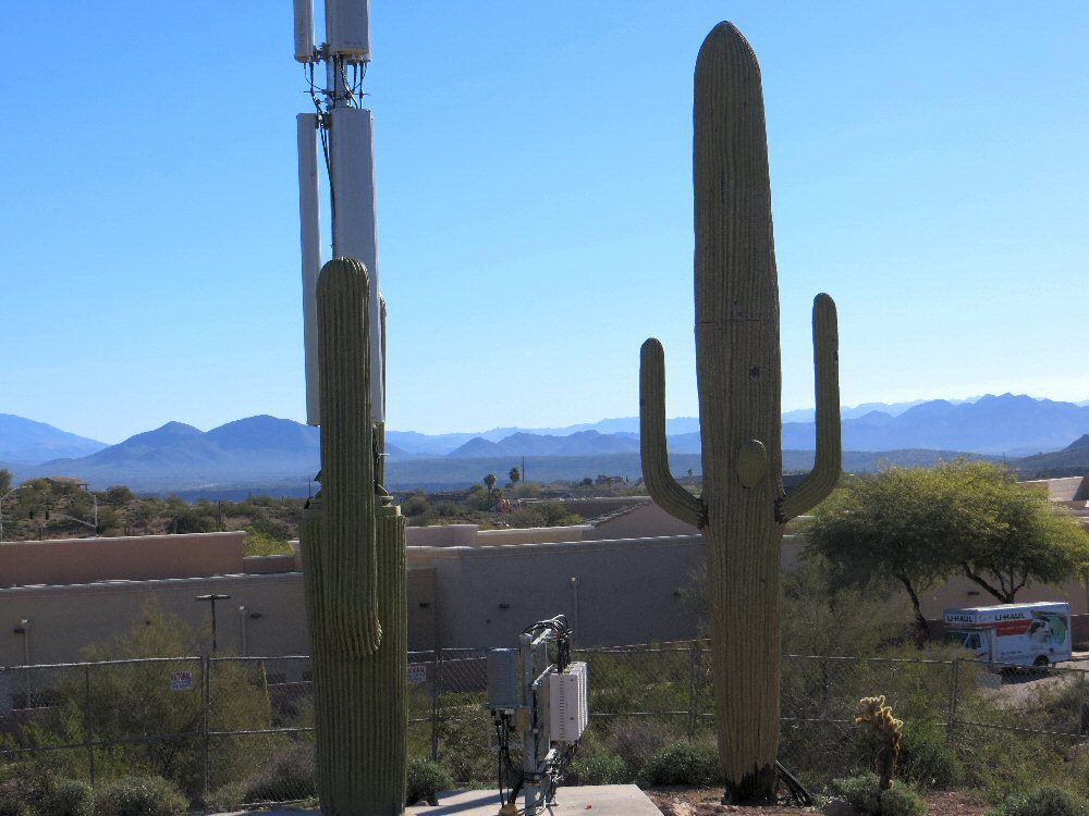 A cell tower hidden in a fake cactus. (Photo: FolsomNatural/CC BY 2.0)