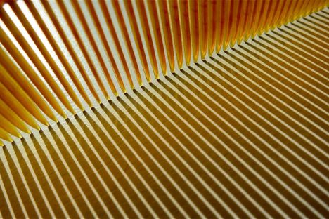 Unbreakable combs can be traced back to 19th-century developments in plastic and rubber.