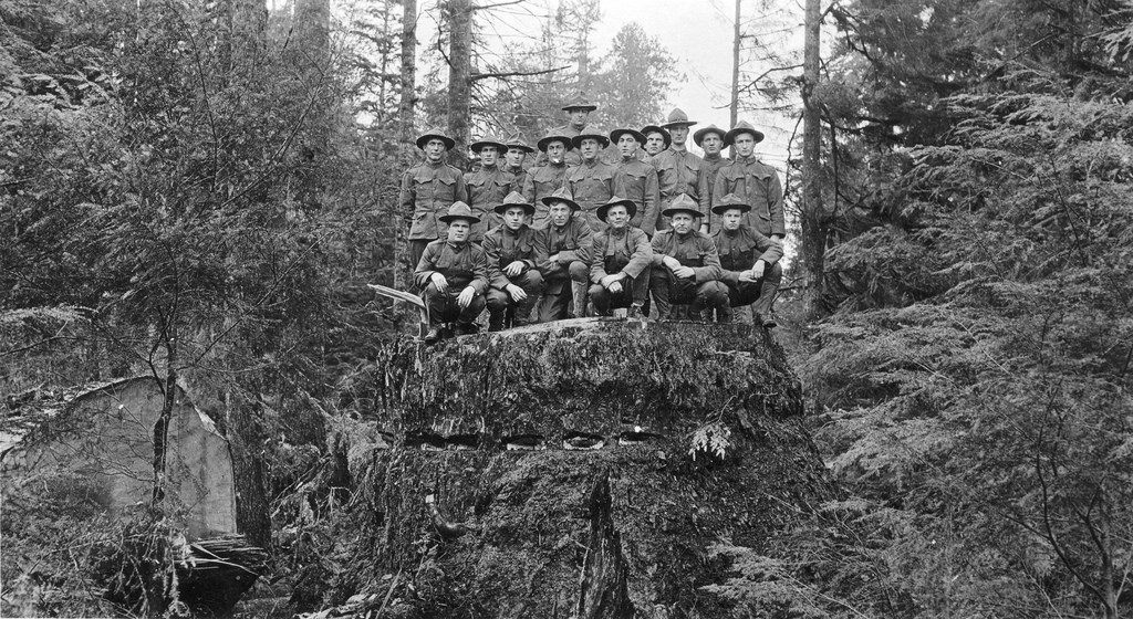 Vintage Photos of Lumberjacks and the Giant Trees They Felled