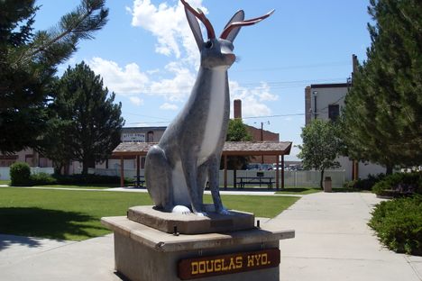 Former World's Largest Jackalope