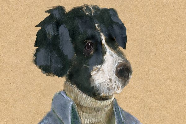 John Cerasulo's painting of a dog in a sweater. 