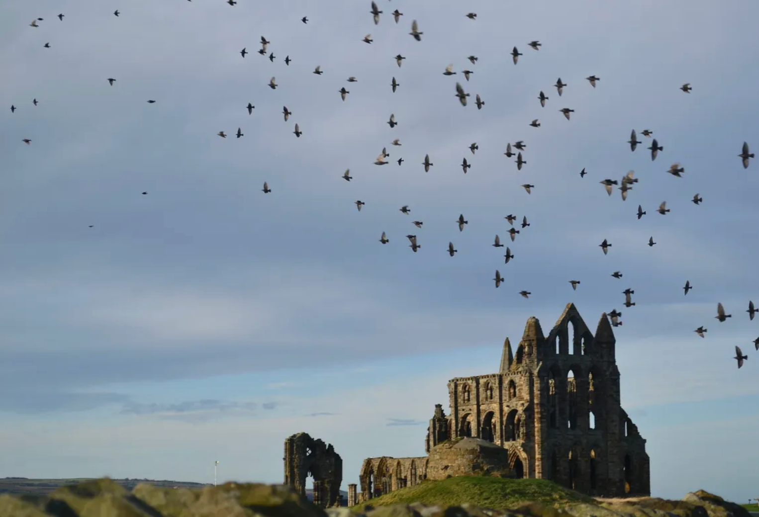 The Whitby Museum holds many strange items, from Victorian tempest prognosticators to an alleged “Glory Hand.”