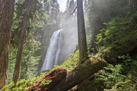 The first view of McClellan Falls
