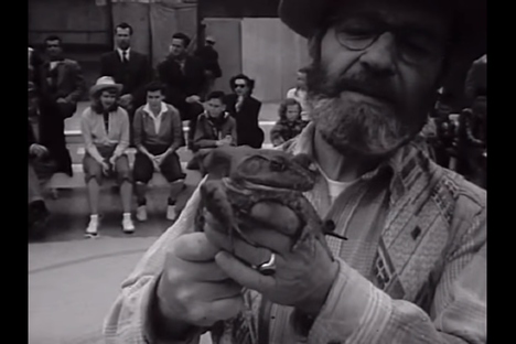 Watch These Sprightly Frogs Compete in a 1965 Jumping Jubilee