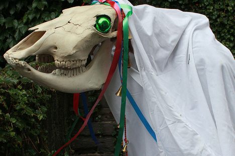 Mari Lwyd