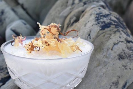 Carrageen Moss Pudding