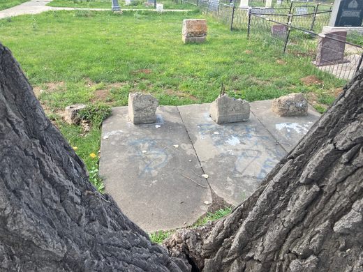 Three concrete slabs with small, destroyed remains of headstones sit behind a V-shaped tree opening.