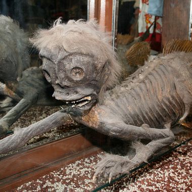 The Banff merman is a horrifying taxidermy experiement.