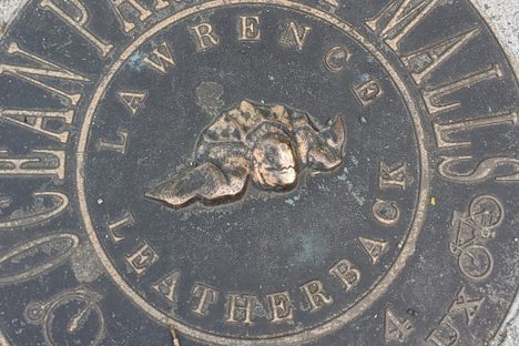 Ocean Parkway Malls Marine Life Plaques