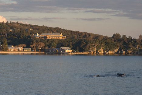 Manly Quarantine Station