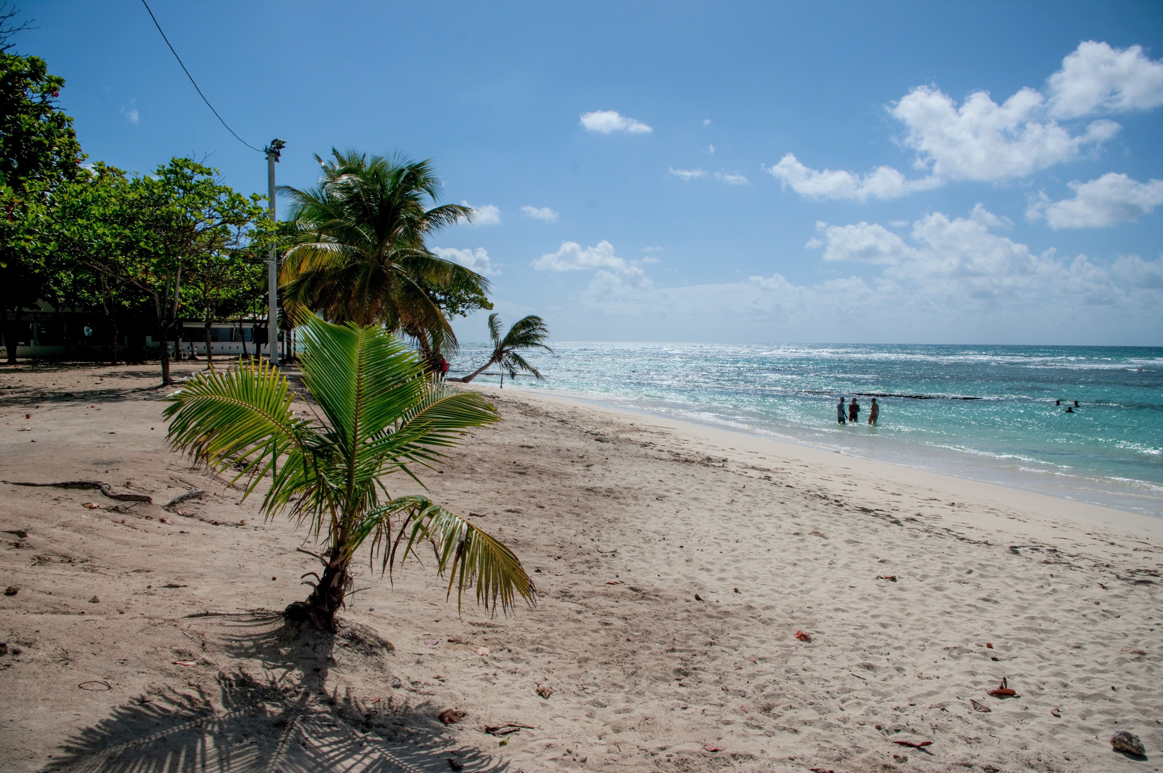 Raisins Clairs Beach in Saint François, Guadeloupe.