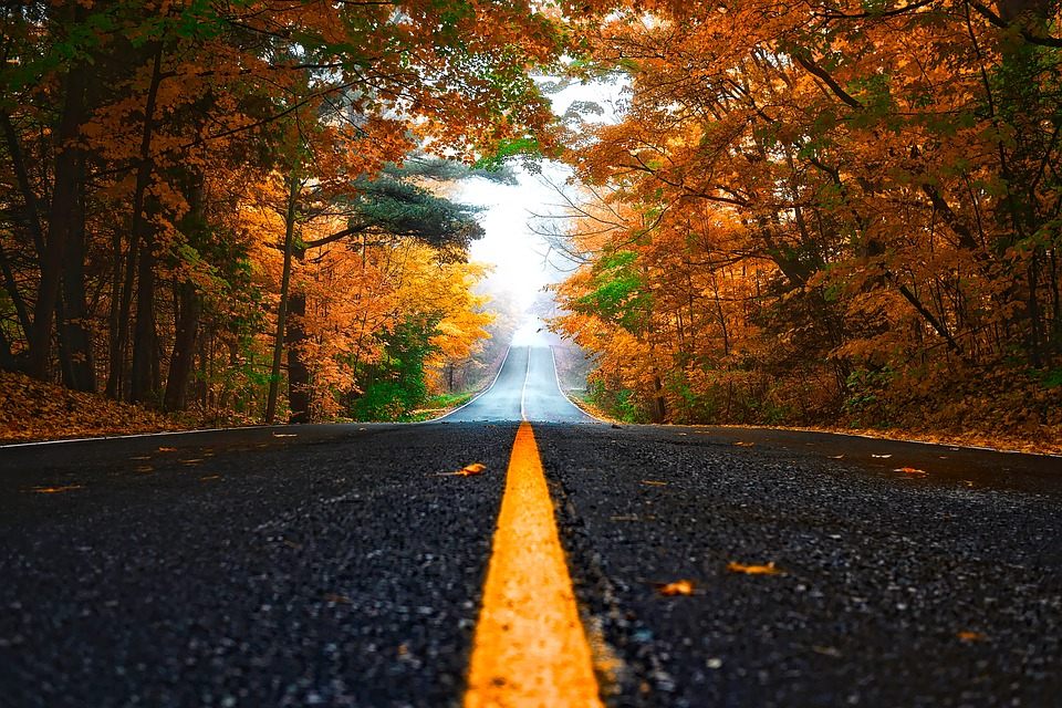Just about everyone can agree on the beauty of an autumn drive.
