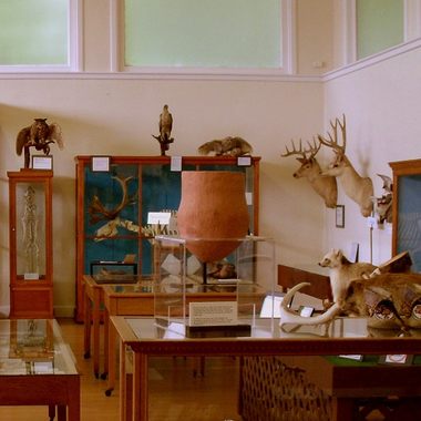 The one-room building that is the Libby Museum