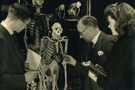 Witness the Terror Bird: Secret Natural History Museum in Sheffield Now Open to the Public