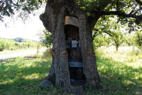 Holy Trinity Oak Tree Chapel