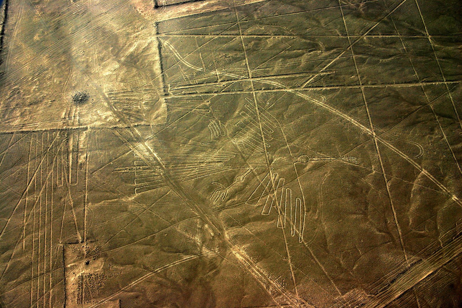 "The Condor," from above.
