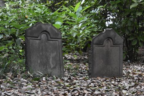 Arima Family Plot