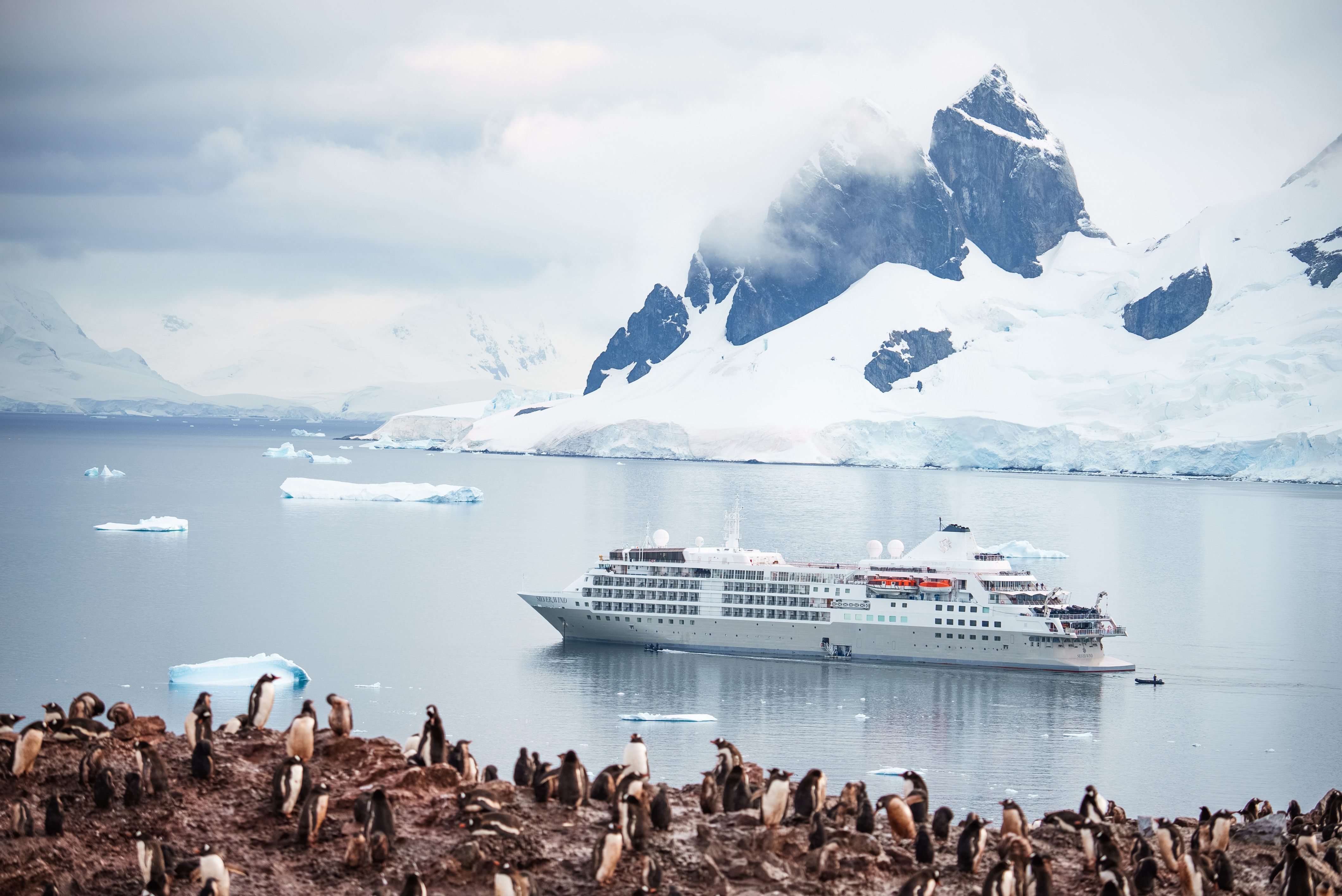 Visit the most wild place on Earth: where nature reigns supreme.