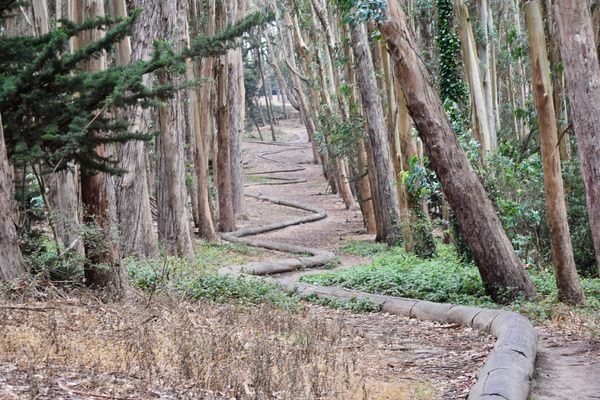 'Wood Line'